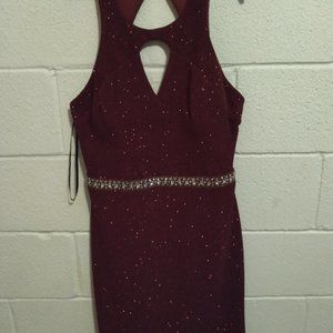Sparkling Glittery Plum Colored Mini Dress